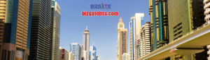 Read more about the article Fulfill your dreams of establishing a business venture in megacity of Dubai