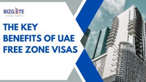 Read more about the article The key benefits of UAE free zone visas | Business Setup in Dubai