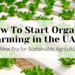 How To Start Organic Farming in the UAE?  | Business Setup in Dubai