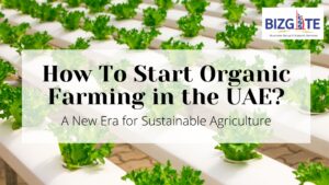 Read more about the article How To Start Organic Farming in the UAE?  | Business Setup in Dubai